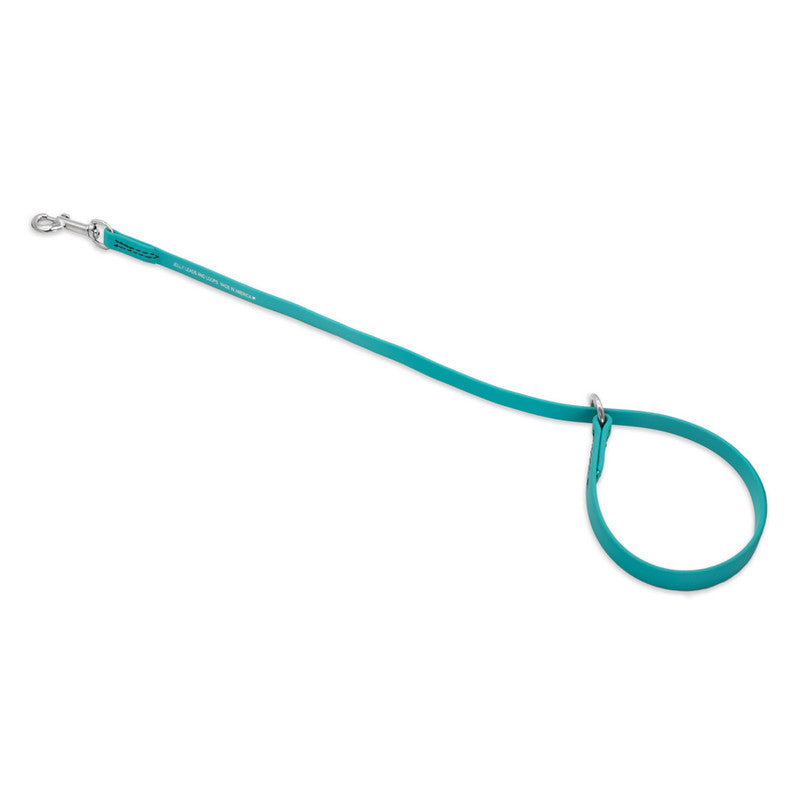 Jelly Pet Grooming Loop Slip Style 1/2&quot; x 30&quot; Teal