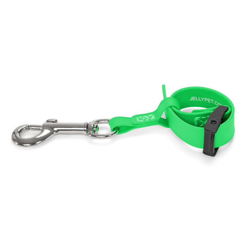 Jelly Pet Safety Tether- Lime