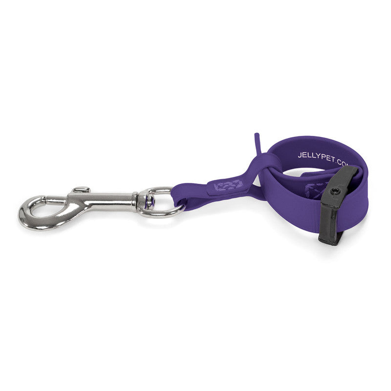 Jelly Pet Safety Tether- Purple
