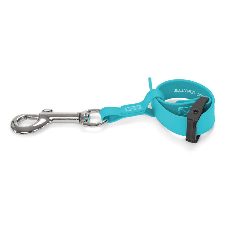 Jelly Pet Safety Tether- Teal
