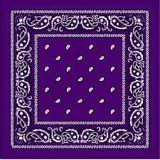 Plum Paisley Bandanas