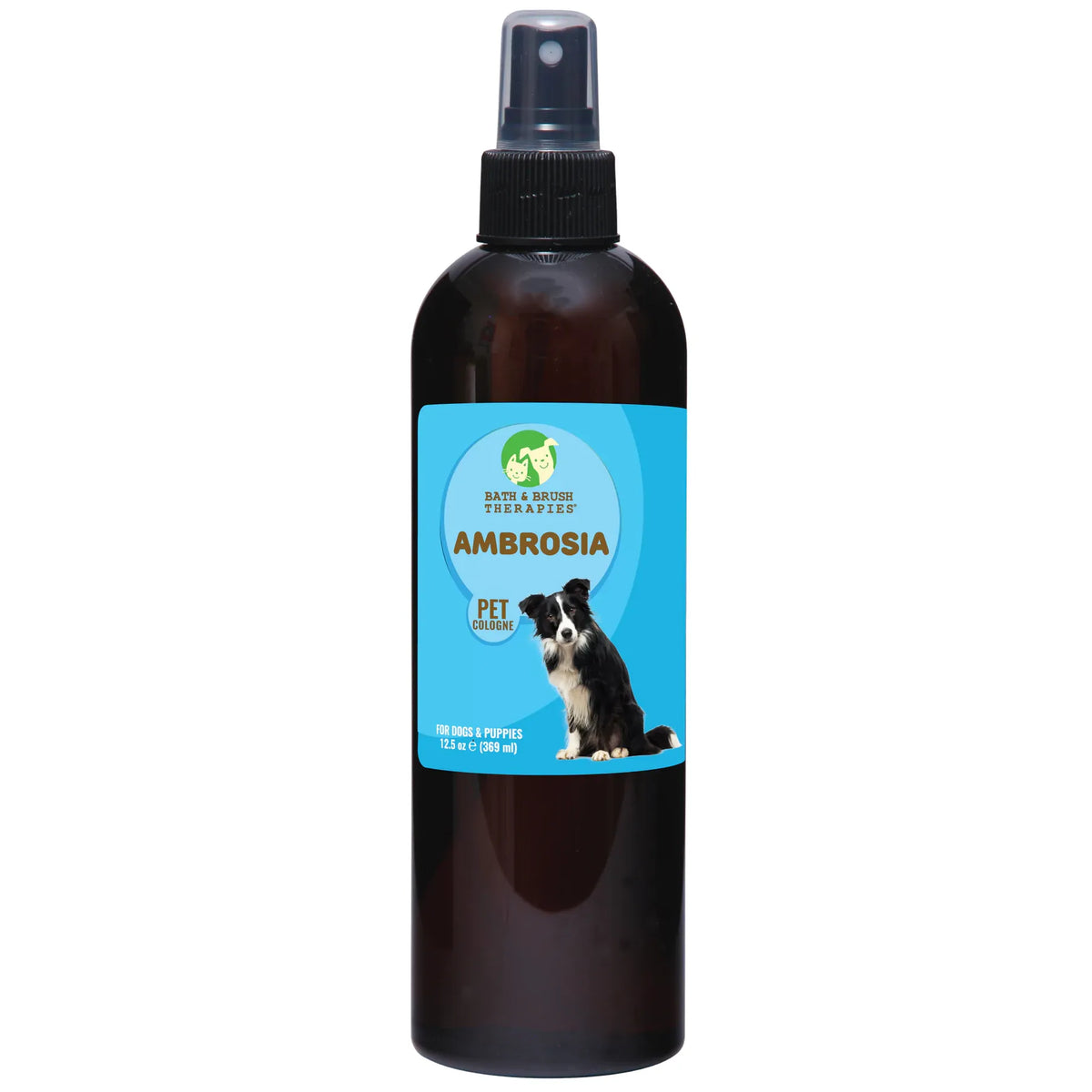 Show Season Ambrosia Bath and Brush Colognes-12.5oz