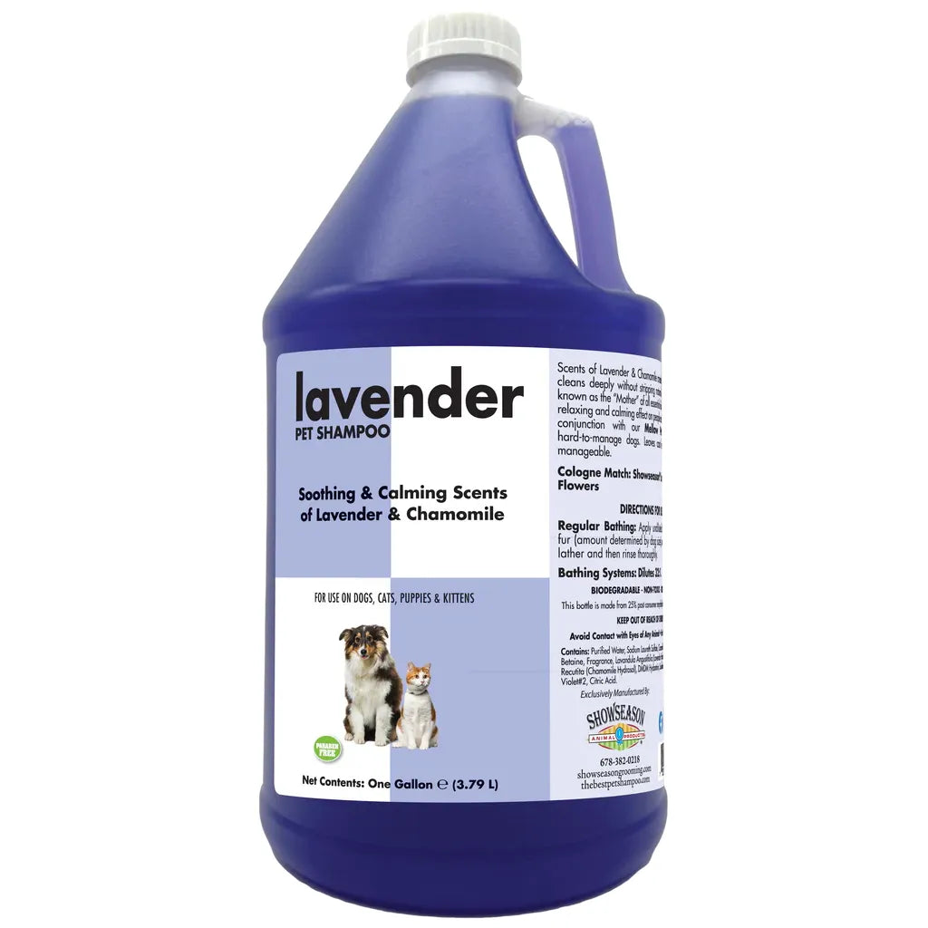 Show Season Lavender Shampoo-Gallon