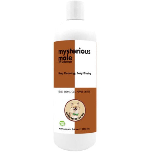 Show Season Mysterious Male Shampoo-16oz