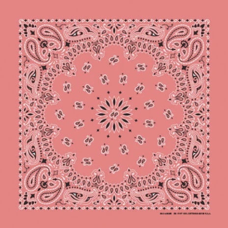 Strawberry Paisley Bandanas