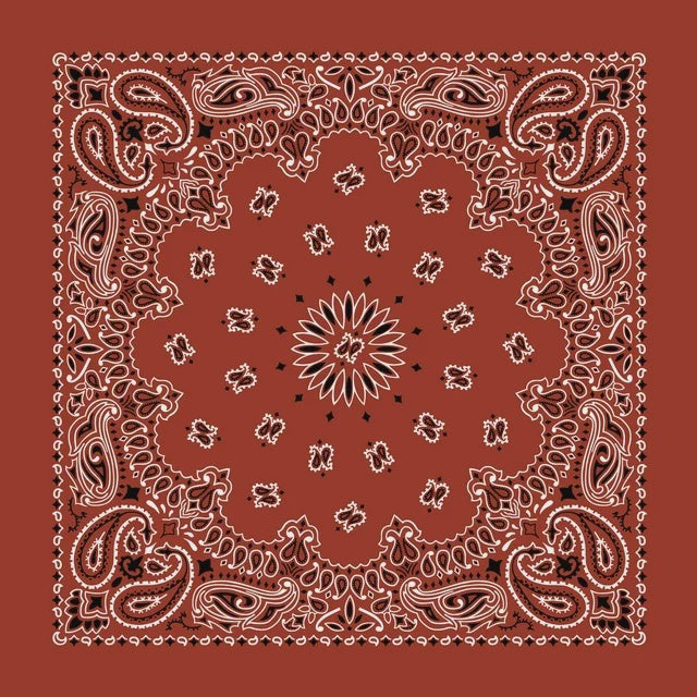 Terracotta Print Bandanas