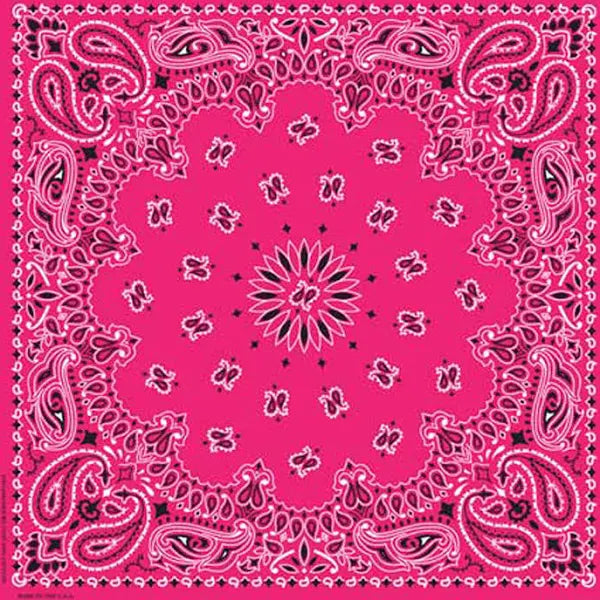 Fuchsia Paisley Bandanas