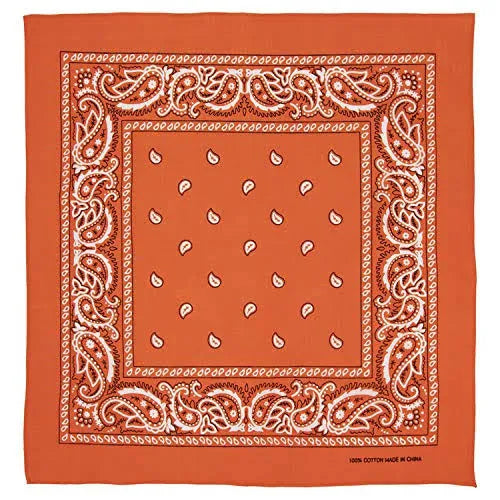 Burnt Orange Print Bandanas