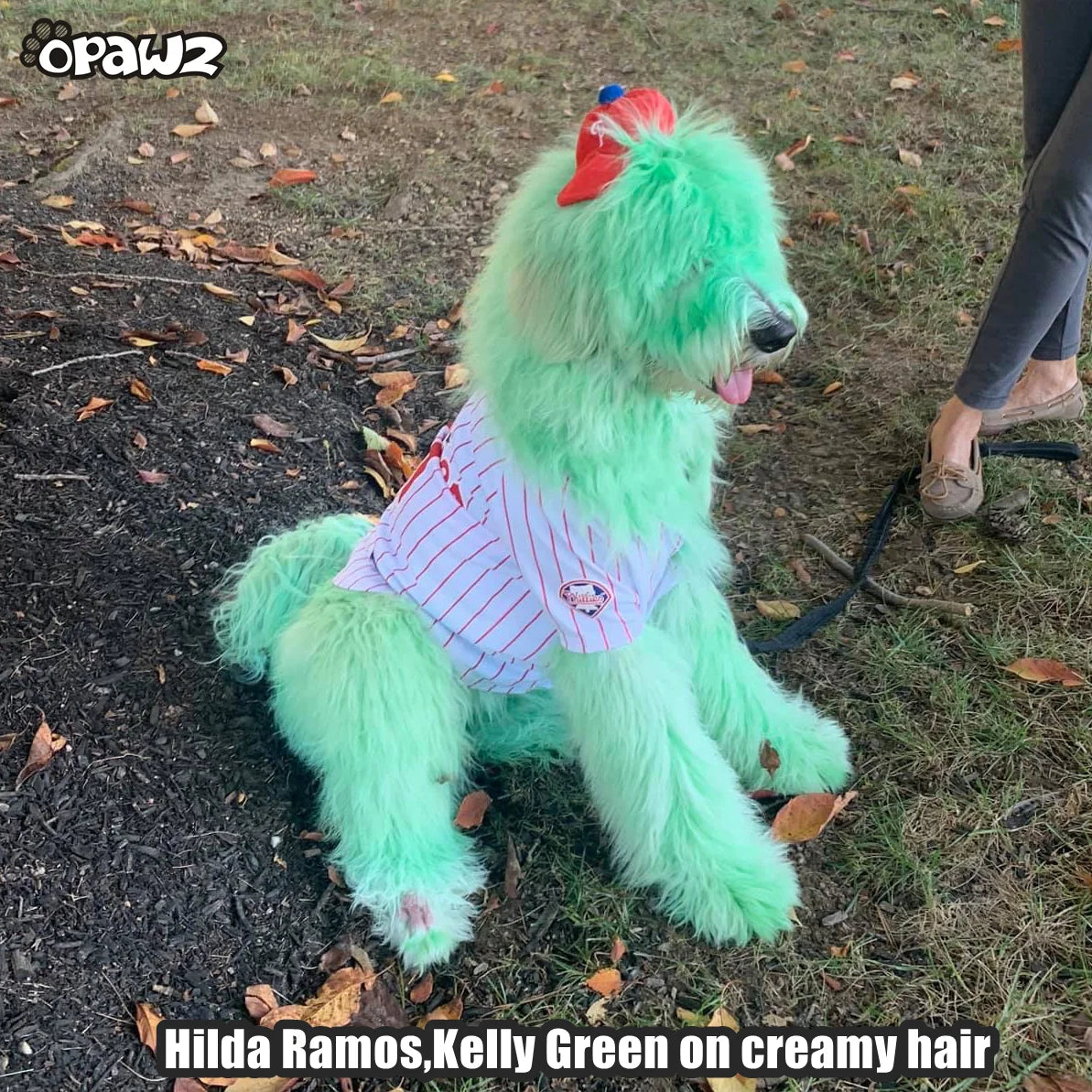 Opawz Kelly Green Semi-Permanent Hair Dye- 5.3 oz