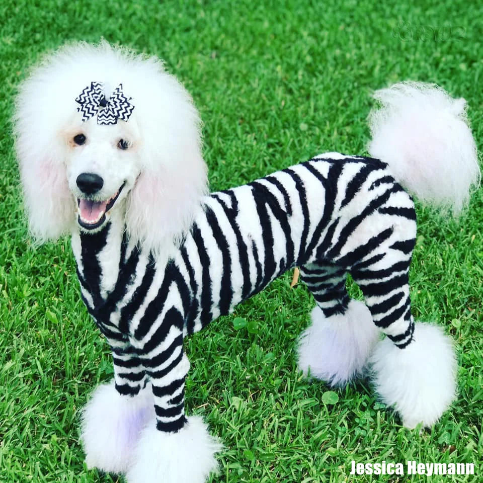 Opawz Black Permanent Hair Dye- 2 oz