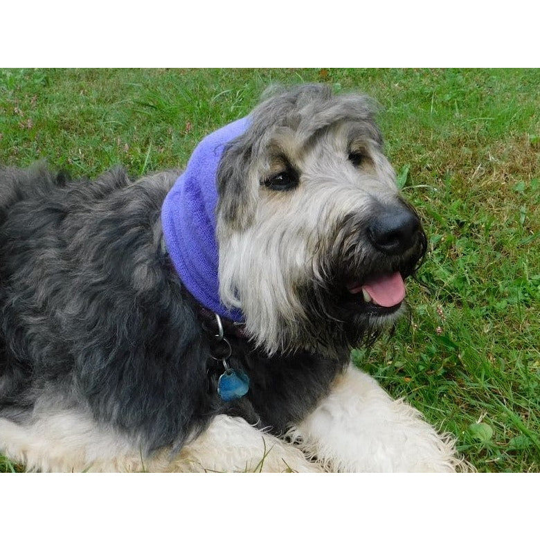 Happy Hoodie Single Pack- Large Pink